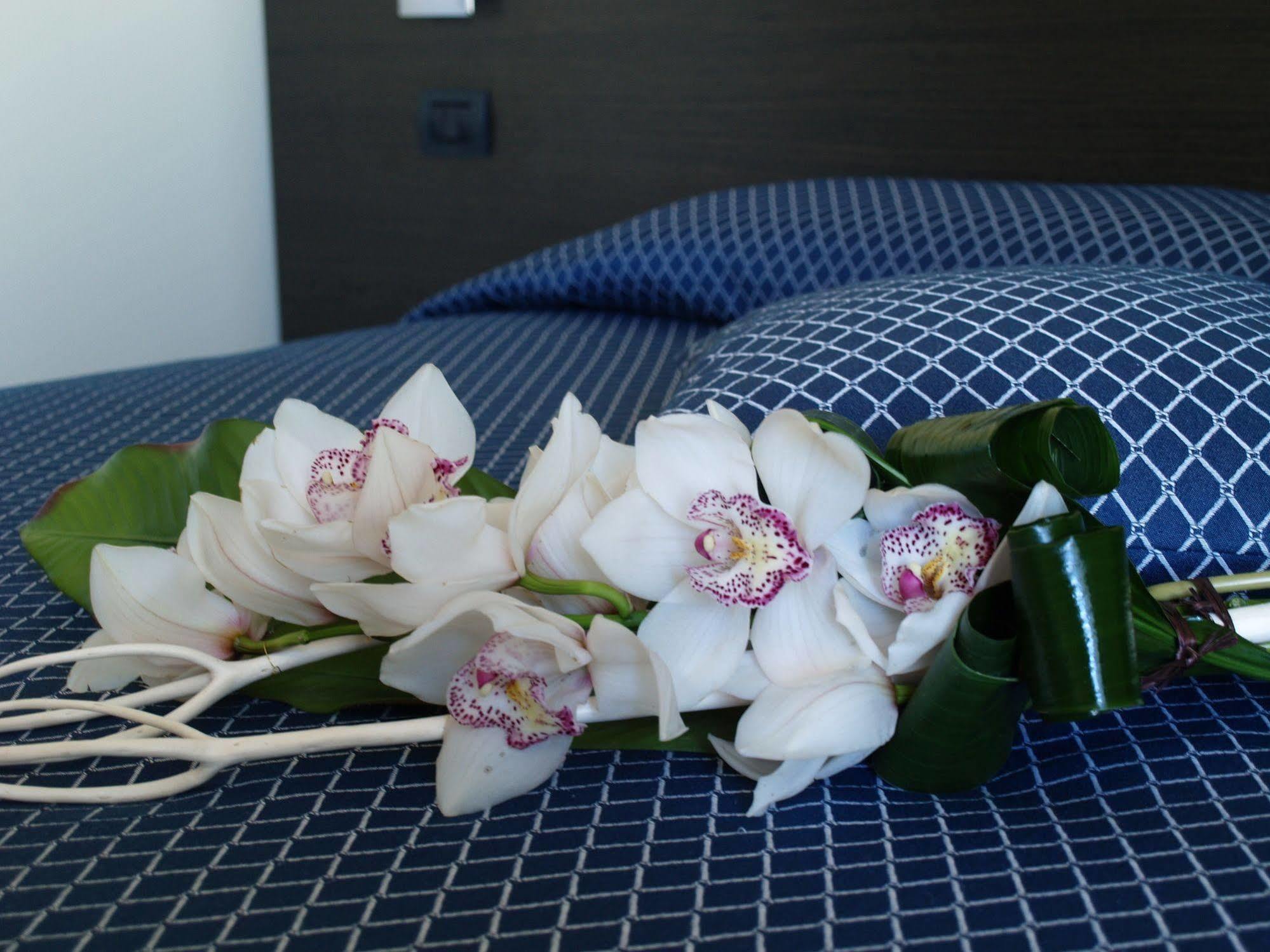 Hotel Draconerium 3*
